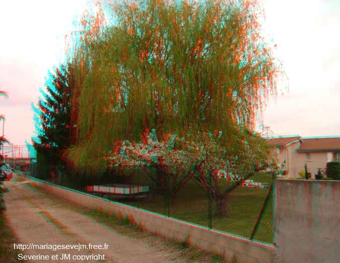 http://mariagesevejm.free.fr/1erSaule3D.jpg