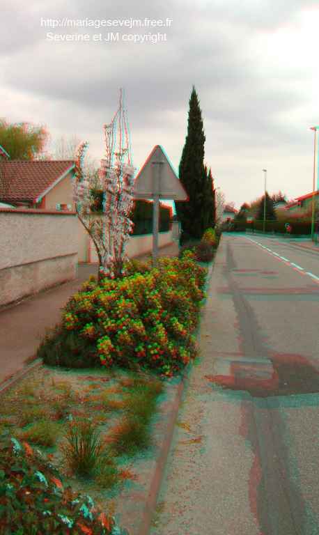 http://mariagesevejm.free.fr/Patemaison3D.jpg