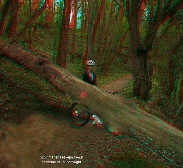 http://mariagesevejm.free.fr/SeverineTronc3D.jpg